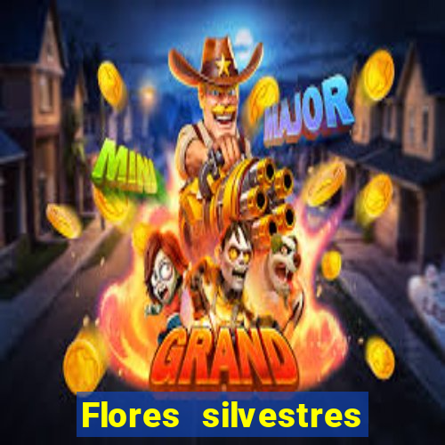 Flores silvestres brasileiras 25